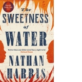 The Sweetness of Water : An Oprah's Book Club Pick