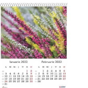 Calendar A3 policromie Flori 2022
