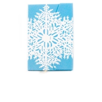 Agenda tip notes silver 9.5 x 14 cm, fulg