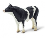Taur Holstein