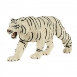 Tigru bengalez alb (saf273129)
