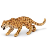 Leopard (saf271529)