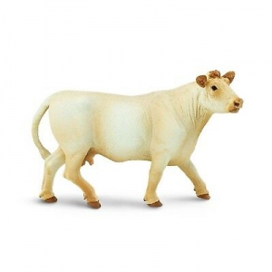 Vaca Charolais (saf231229)