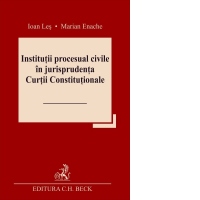 Institutii procesual civile in jurisprudenta Curtii Constitutionale