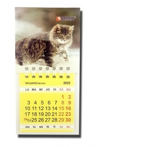 Calendar 2022 magnetic S, pisica
