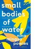 Small Bodies of Water