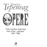 Opere 9. Texte teoretice, interviuri, note critice, "sotroane" 1990 - 2000