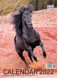 Calendar 2022 Cai