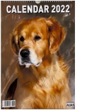 Calendar 2022 Caini