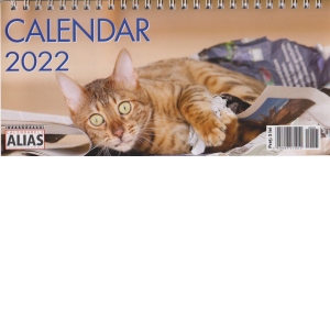 Calendar de birou Pisici 2022