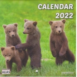 Mini calendar Pui de urs 2022