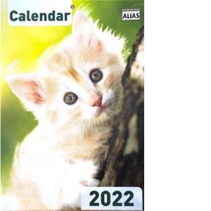 Calendar Pisici 2022