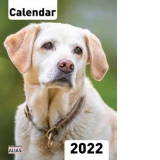Calendar Caini 2022