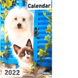 Calendar Caini si pisici 2022