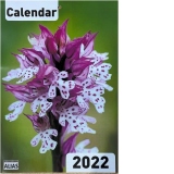 Calendar Flori 2022