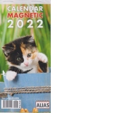 Calendar magnetic 2022 Pisici