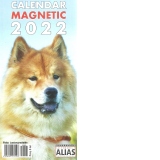 Calendar magnetic 2022 Caini