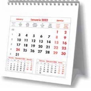Calendar maxi 2022