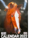 Calendar de perete 2022, format mare, spiralat, 12 file: Cai