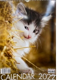 Calendar de perete 2022, format mare, spiralat, 12 file: Pisici