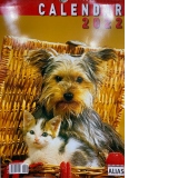 Calendar de perete 2022, format mare, spiralat, 6 file: Caini si pisici