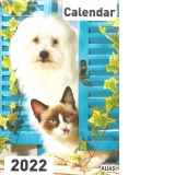 Calendar de perete 2022 Caini si pisici