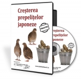 Cresterea prepelitelor japoneze (CD)