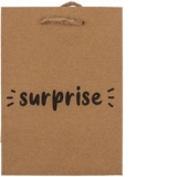 Punga de cadou cu mesajul: Surprise
