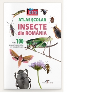 Atlas scolar. Insecte din Romania. Peste 100 de specii reprezentative din fauna tarii noastre