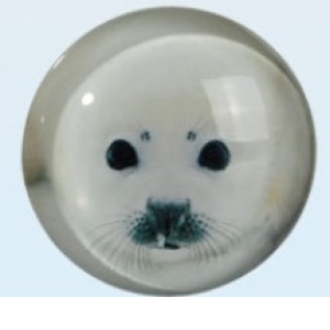 Magnet de sticla, imprimeu foca