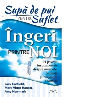 Supa de pui pentru suflet. Ingeri printre noi. 101 povesti inspirationale despre miracole, credinta si rugaciuni ascultate