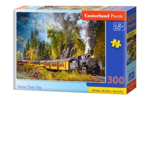 Puzzle Steam Train Trip 300