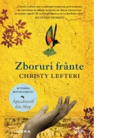 Zboruri frante