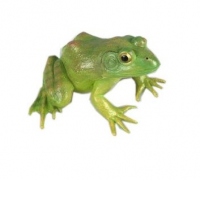 Figurina Broscuta