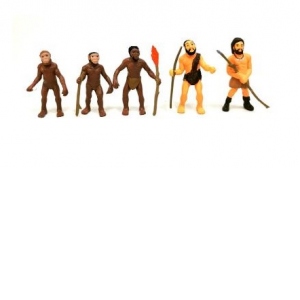 Figurine - Evolutie