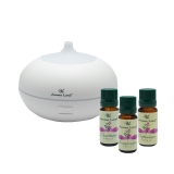 Set aromaterapie Momente de Fericire, Aroma Difuzor Confort + 3 uleiuri parfumate, Aroma Land, 10 ml