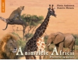 Animalele Africii - Portrete in natura