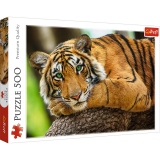 Puzzle Trefl 500 piese, Portretul Tigrului
