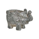 Ghiveci decorativ Grey Elephant, Charisma, Ciment, 20x14x14