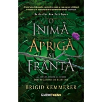O inima apriga si franta. Volumul 2 din seria Distrugatorii de blesteme