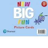 Big Fun Refresh Level 1 Picture Cards
