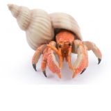 Figurina Papo - Crab Pustinc