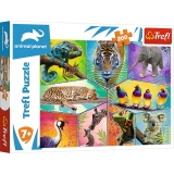 Puzzle Trefl 200 piese Animal Planet O lume exotica
