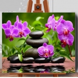 Set pictura pe numere (panza) Orhidee si pietre vulcanice 40x50 cm