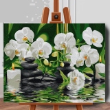 Set pictura pe numere (panza) Serenitate si orhidee 40x50 cm