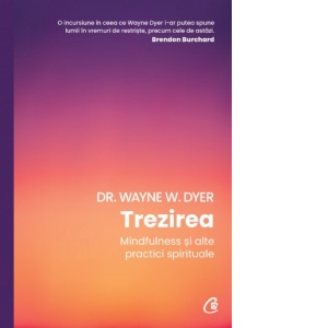 Trezirea. Mindfulness si alte practici spirituale