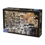 Puzzle 1000 piese Animal Faces - Cats