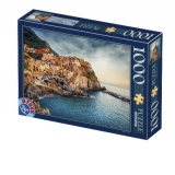 Puzzle 1000 piese Peisaje de zi - Manarola, Italia
