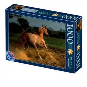 Puzzle 1000 piese - Cal murg