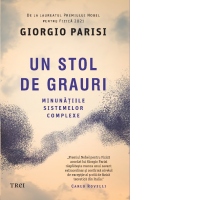 Un stol de grauri. Minunatiile sistemelor complexe